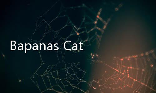 Bapanas Catat Harga Pangan: Telur dan Cabai Rawit Naik, Mayoritas Bahan Pokok Stabil atau Turun