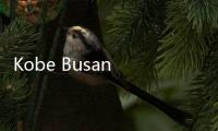 Kobe Busan Mitra Tepat Perluas Pasar Mamin RI di Jepang