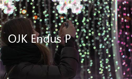 OJK Endus Potensi Fraud Kredit Bank Woori Senilai US,5 juta Sejak 2023