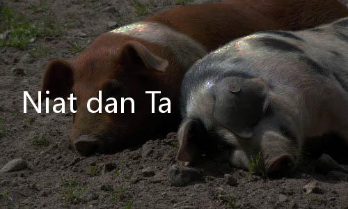 Niat dan Tata Cara Salat Jamak Qashar dalam Perjalanan Mudik